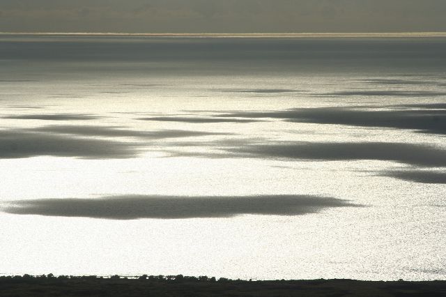 e0129046_4302615.jpg