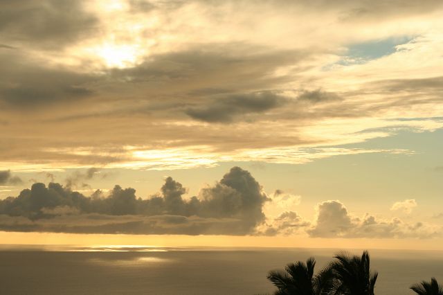 e0129046_4322246.jpg