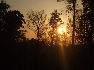 e0121548_20161652.jpg