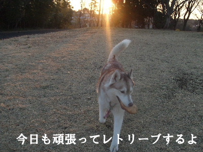 e0121548_20165239.jpg