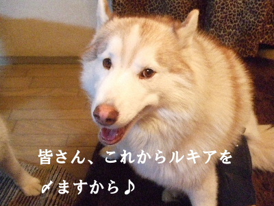 e0121548_2032307.jpg