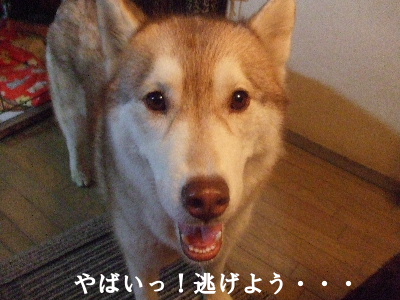 e0121548_20332019.jpg