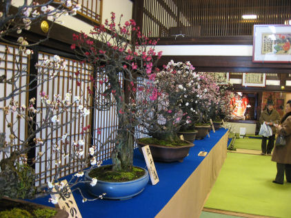 c0073649_128162.jpg