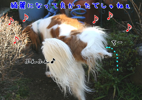 d0013149_7585325.jpg