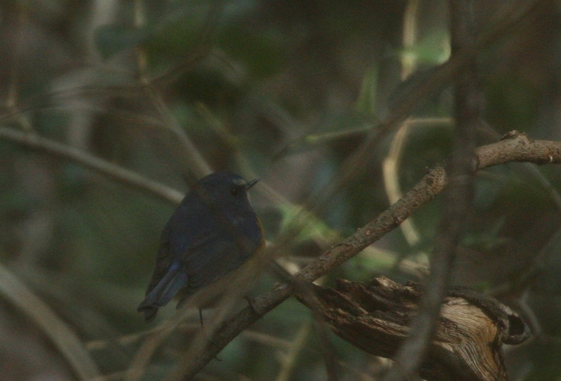 c0136654_2319991.jpg