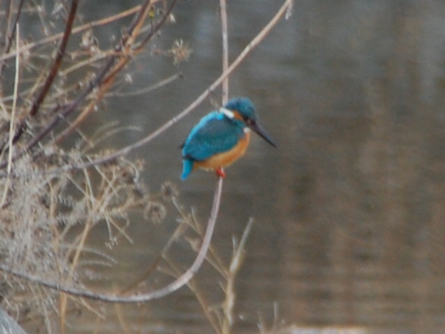 c0108460_18234627.jpg