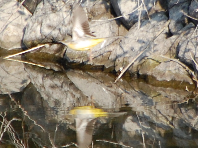 c0108460_18261734.jpg