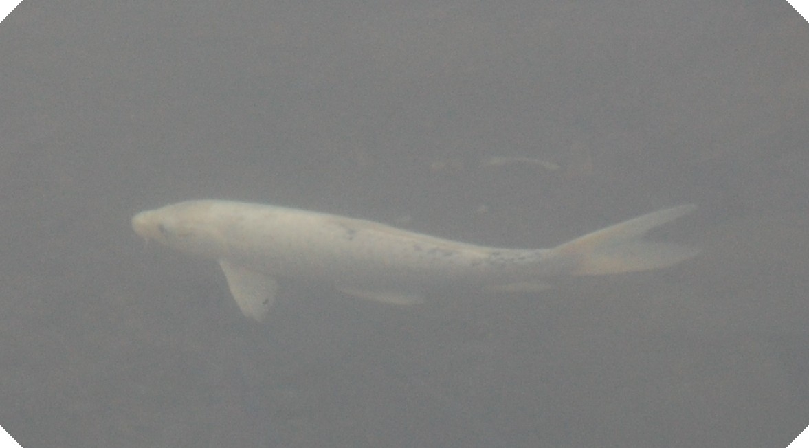 c0108460_1831245.jpg