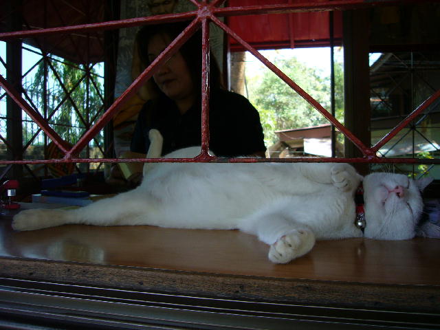 f0057565_12233510.jpg