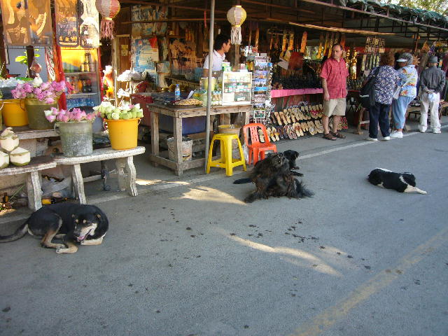 f0057565_1227544.jpg
