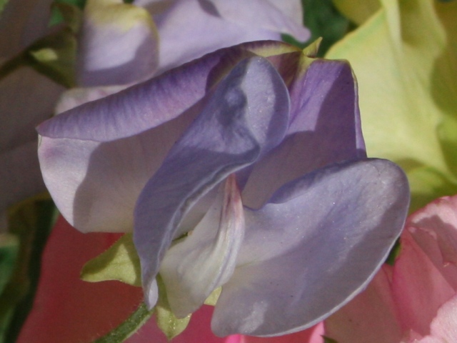 f0088569_22492459.jpg