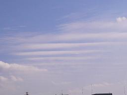 d0147774_21413432.jpg