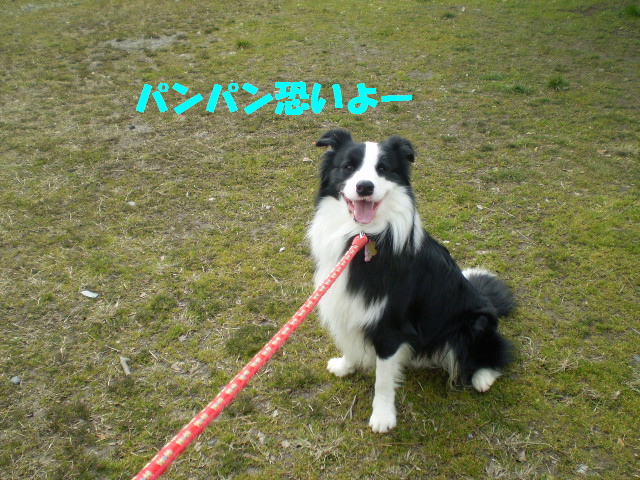 e0117976_21595862.jpg