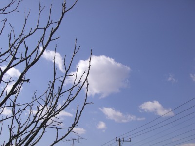 c0078480_22395238.jpg