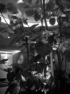 f0100480_1921454.jpg
