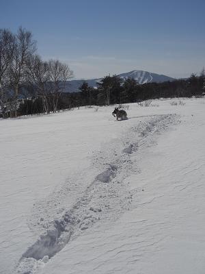 e0100584_1734788.jpg