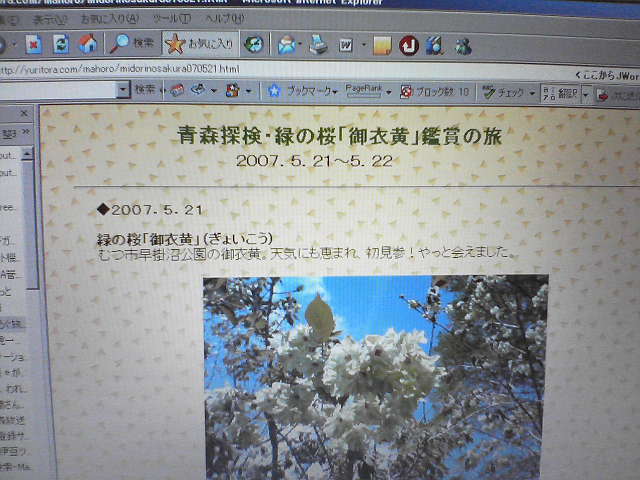 a0007388_16513140.jpg