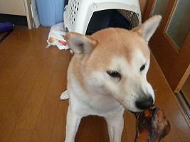 c0123890_20453640.jpg