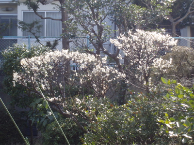 f0130894_173626100.jpg