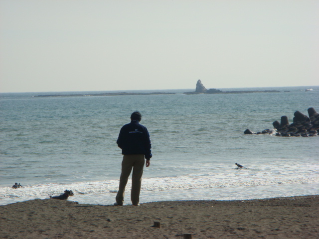 f0137694_1749895.jpg
