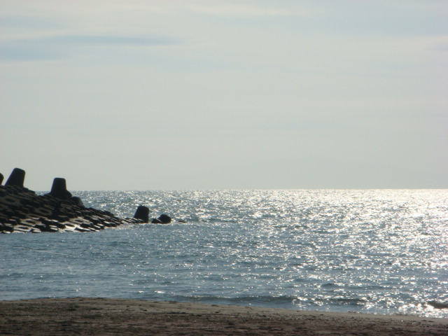 f0137694_18441696.jpg