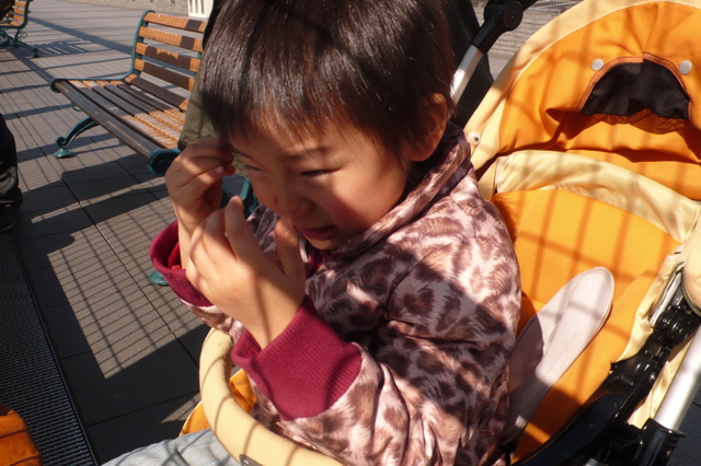 d0091001_035489.jpg