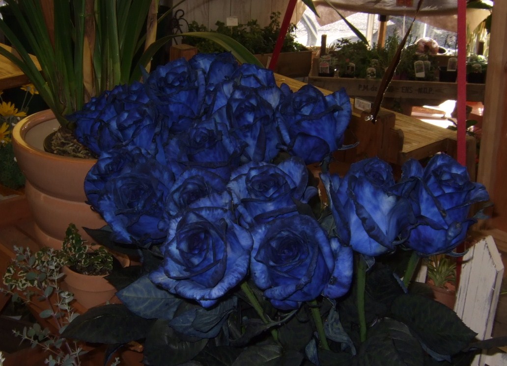 c0157103_231394.jpg