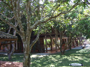 d0024504_1955576.jpg