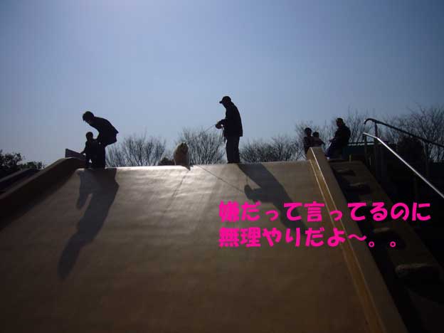 e0018604_2149344.jpg