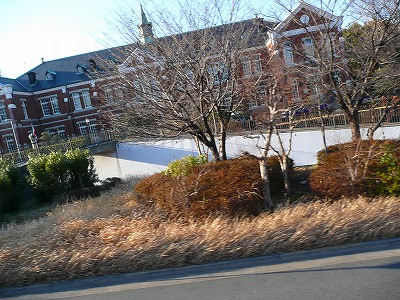 a0024005_2350973.jpg