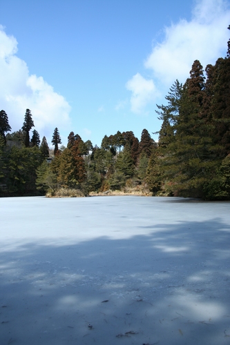 d0131006_17573914.jpg