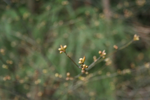 d0131006_1819459.jpg
