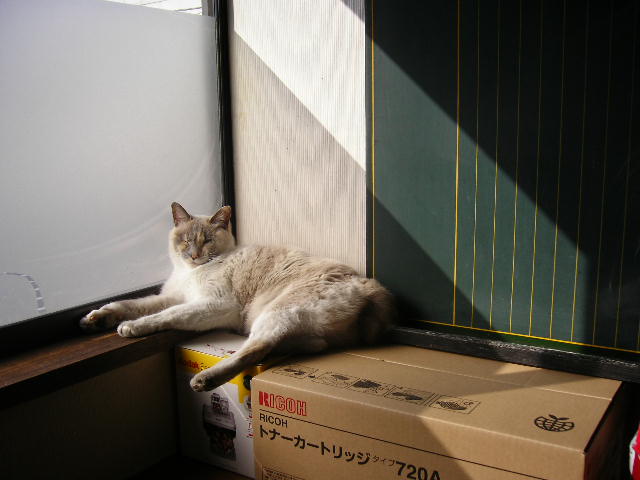 d0101409_21465824.jpg