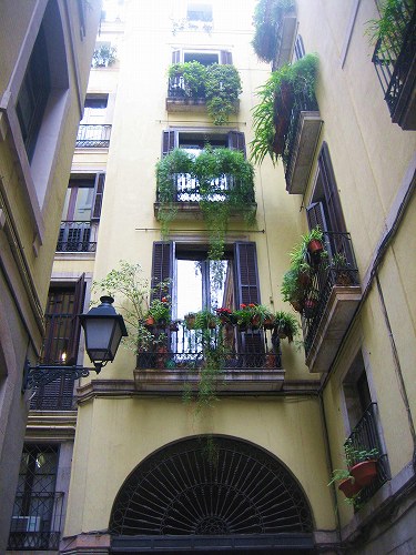 b0064411_35336100.jpg