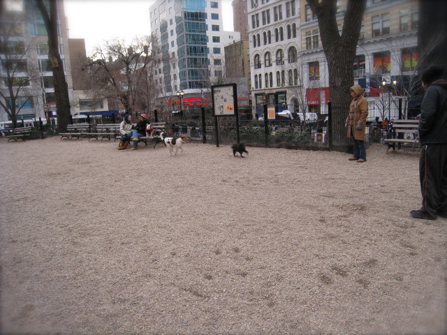 c0120817_1115759.jpg