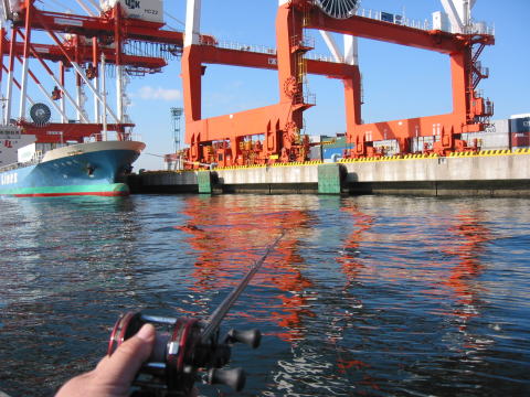 e0125217_15441454.jpg
