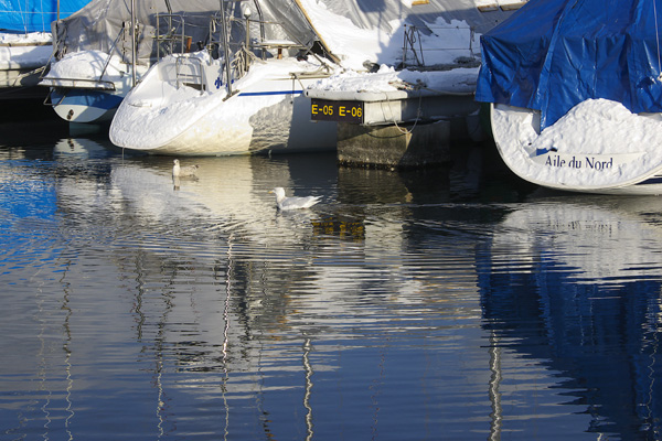 e0001123_118391.jpg