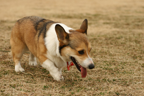 e0071225_0482650.jpg