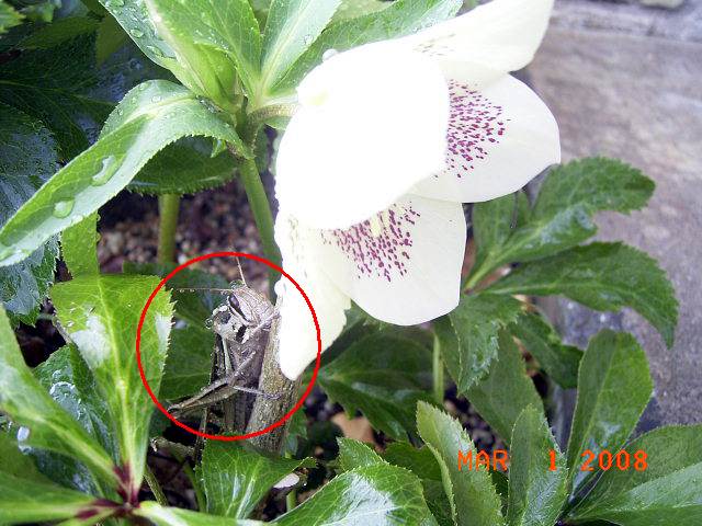 e0042626_17292966.jpg