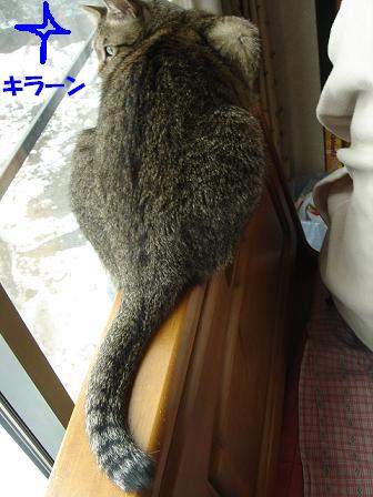 c0156328_831129.jpg