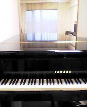 d0118931_1842115.jpg