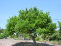 c0077533_18372623.jpg