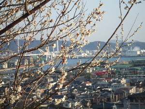 a0054240_23154281.jpg