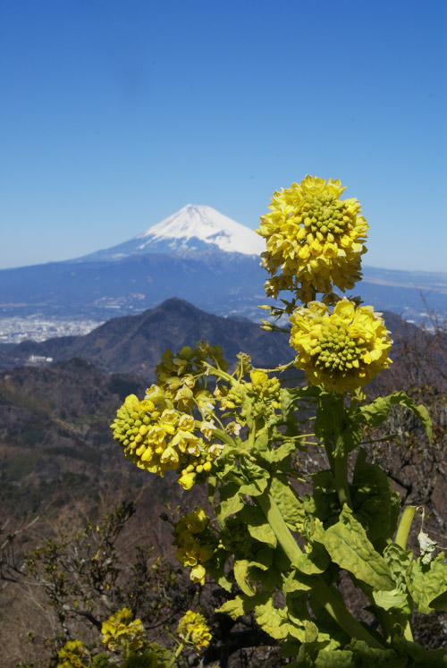 a0003746_17432547.jpg