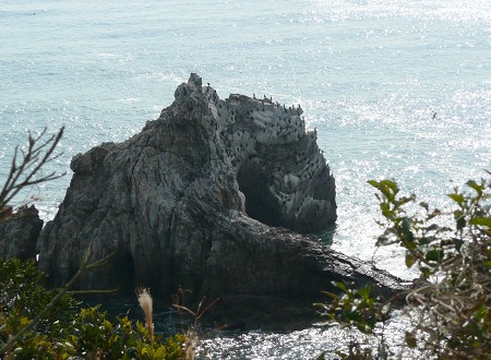 c0057946_1746972.jpg
