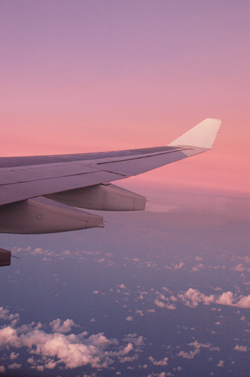 d0008146_3424269.jpg