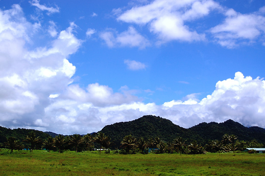 d0008146_344211.jpg