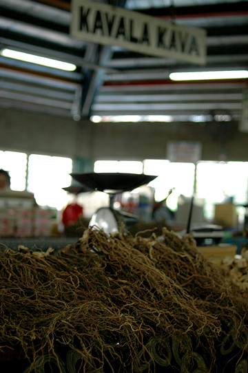 d0008146_346375.jpg