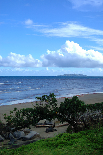 d0008146_3475812.jpg