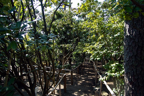 d0123346_2253041.jpg